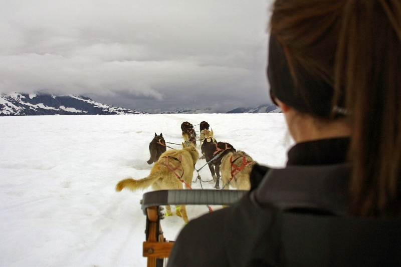 Zážitky pro teenagery - mushing