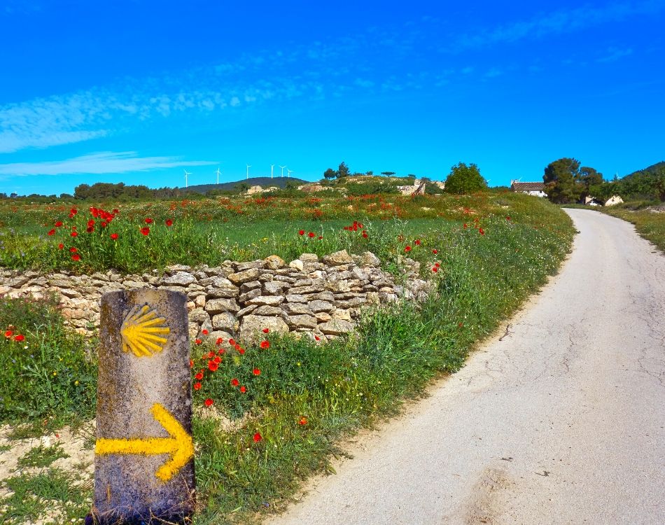 Online kurz Camino de Santiago